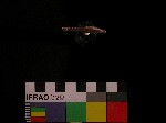 L_V19d1865 J1q471.4 Q926 dM f152 la.jpg L_V19d1865 J1q471.4 Q926 dM f152 la